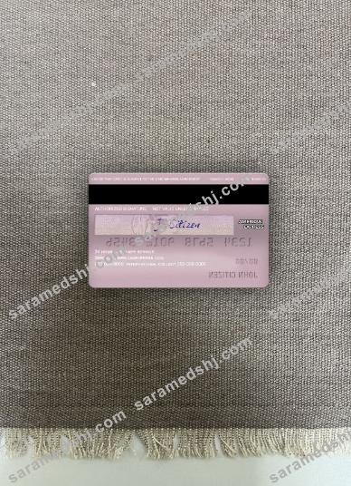USA ADP Earnings bank AMEX rose gold card photolook back